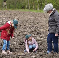 Bild vergrößern:Die Vizepräsidentin des Landtags Anne-Marie Keding unterstützt die Pflanzaktion der Schutzgemeinschaft Deutscher Wald am 25. April im Biederitzer Busch.