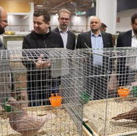 Bild vergrößern:Gemeinsam besuchten Minister Sven Schulze (2.v.l.) und Tobias Krull (g.r.) die Rassetierschau in der Messe Magdeburg am 26.11..