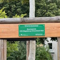 Bild vergrößern:Für diesen Baum hatte der CDU-Ortsverbands Süd die notwendigen Spenden gesammelt. 