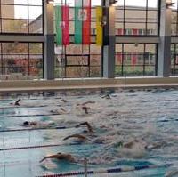 Bild vergrößern:Am Reformationstag führte die Abteilung Schwimmen des SCM erneut ihr Spendenschwimmen in der Elbe-Schwimmhalle durch. Auch Mitglieder der CDU-Landtagsfraktion unterstützten mit einer persönlichen Spende die jungen Schwimmtalente.  