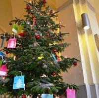 Bild vergrößern:Heute (27.11) Vormittag wurde im Alten Rathaus der „Wunschweihnachtsbaum“ gestartet. Ab sofort können über 100 Wünsche gepflückt und erfüllt werden. Dank der großen Beteiligung konnten in den vergangen elf Jahren schon mehr als 1.700 Kinderwünsche in Erfüllung gehen. Der CDU Kreisvorsitzende Tobias Krull MdL, zog mit als erster einen Kinderwunsch. Wünsche vom Wunschweihnachtsbaum zu nehmen kann jeder, von montags bis freitags von 08:00 bis 18:00 Uhr.