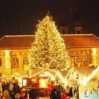 Bild vergrößern:Der Weihnachtsbaum auf dem Magdeburger Weihnachtsmarkt. Im Hintergrund das Altes Rathaus der Landeshauptstadt. 