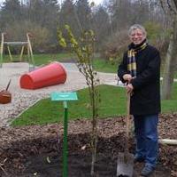Bild vergrößern:Stadtrat Reinhard Stern pflanzte zwei Bäume in Stadtfeld, die er anlässlich seines Geburtstages geschenkt bekommen hatte.
