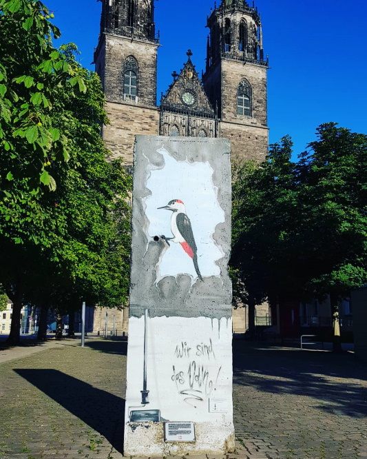 Stück der Berliner Mauer in der Nähe des Magdeburger Doms.
