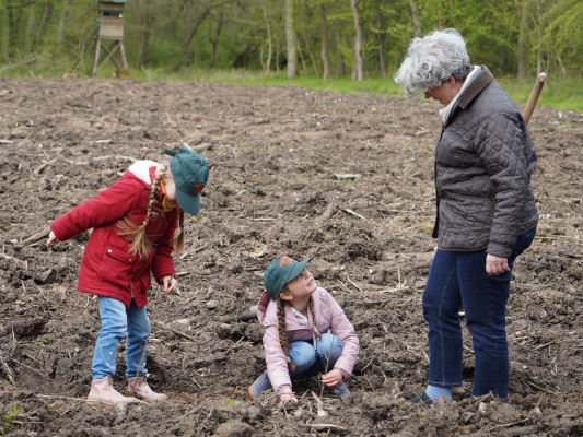 Die Vizepräsidentin des Landtags Anne-Marie Keding unterstützt die Pflanzaktion der Schutzgemeinschaft Deutscher Wald am 25. April im Biederitzer Busch.